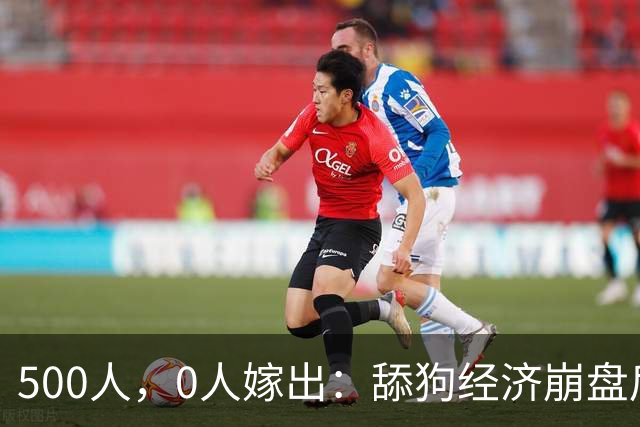 500人，0人嫁出：舔狗经济崩盘后，婚姻不再是必答题